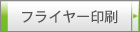 �ե饤�䡼����
